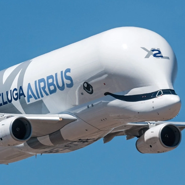 L’avion Beluga : Un monstre des airs au service d’Airbus